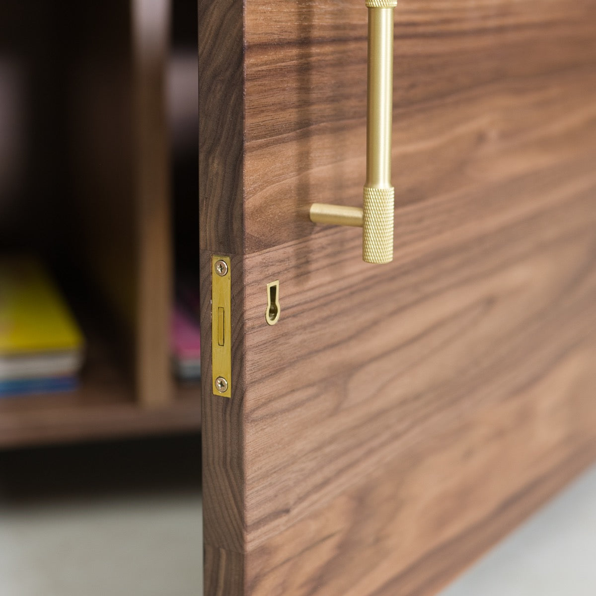 Lockable Vinyl Record Storage