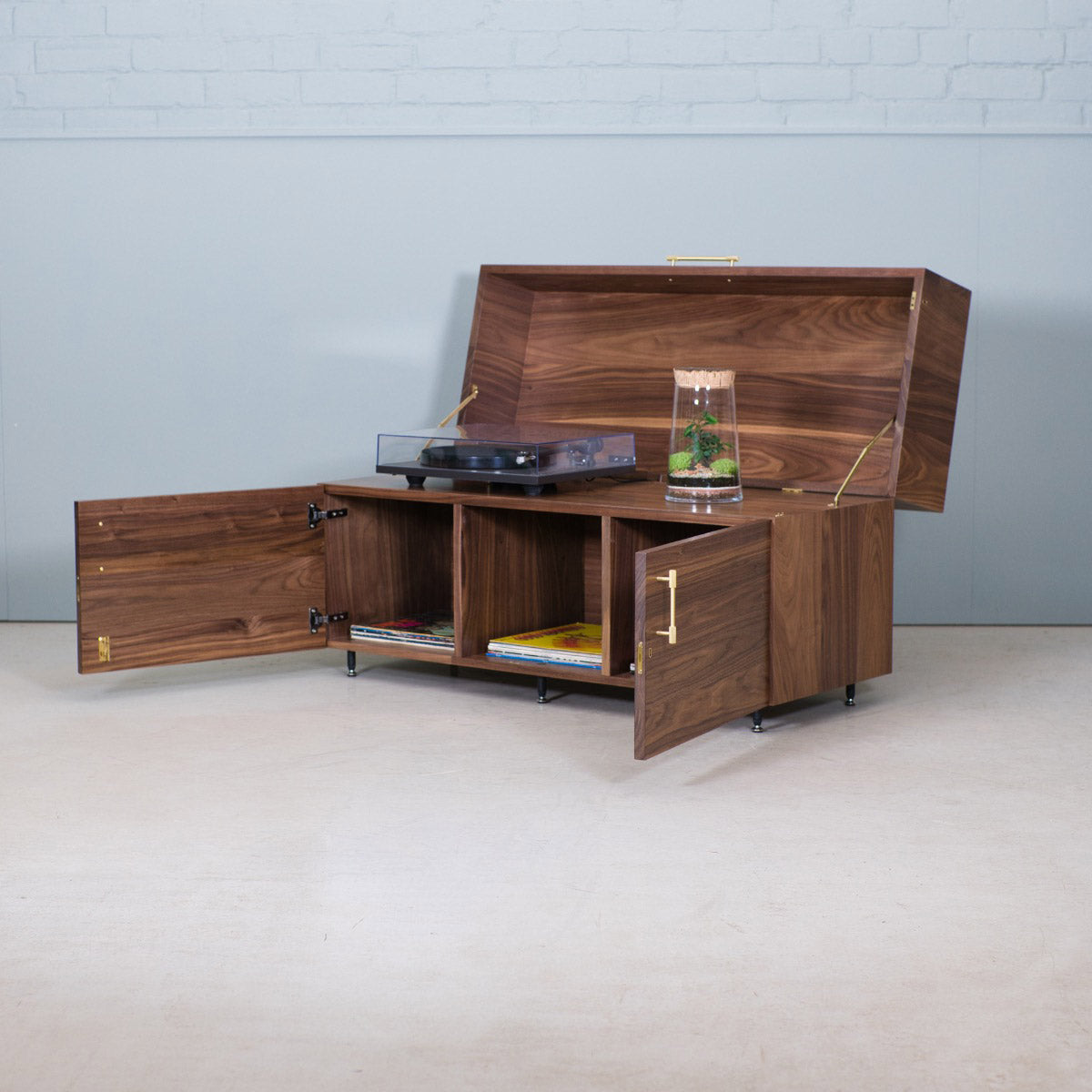 Lockable Vinyl Record Storage