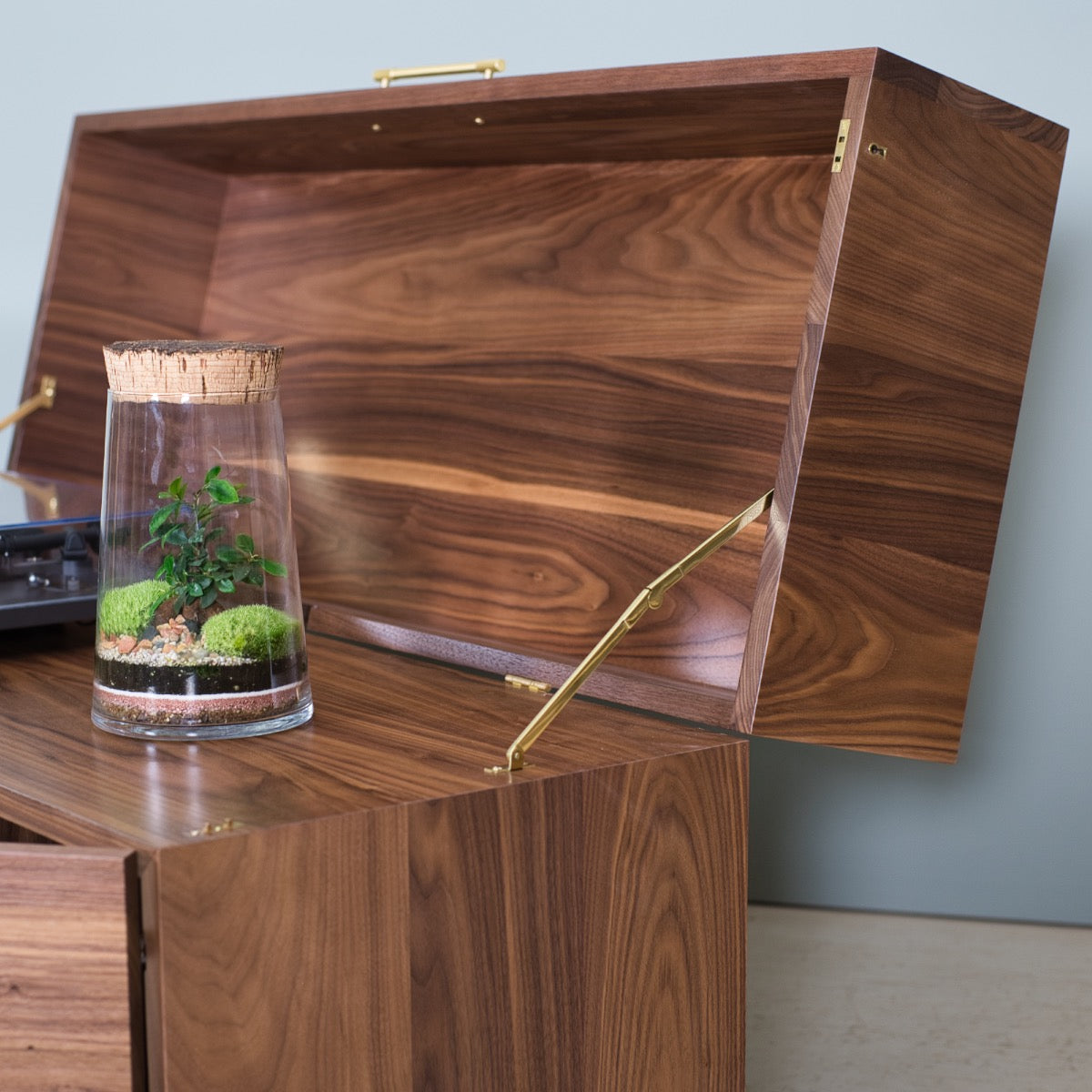 Lockable Vinyl Record Storage