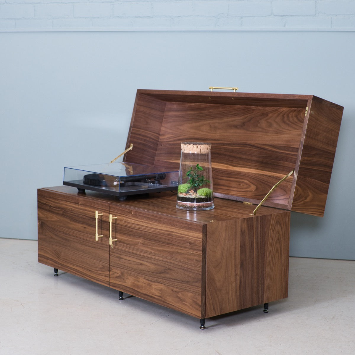 Lockable Vinyl Record Storage