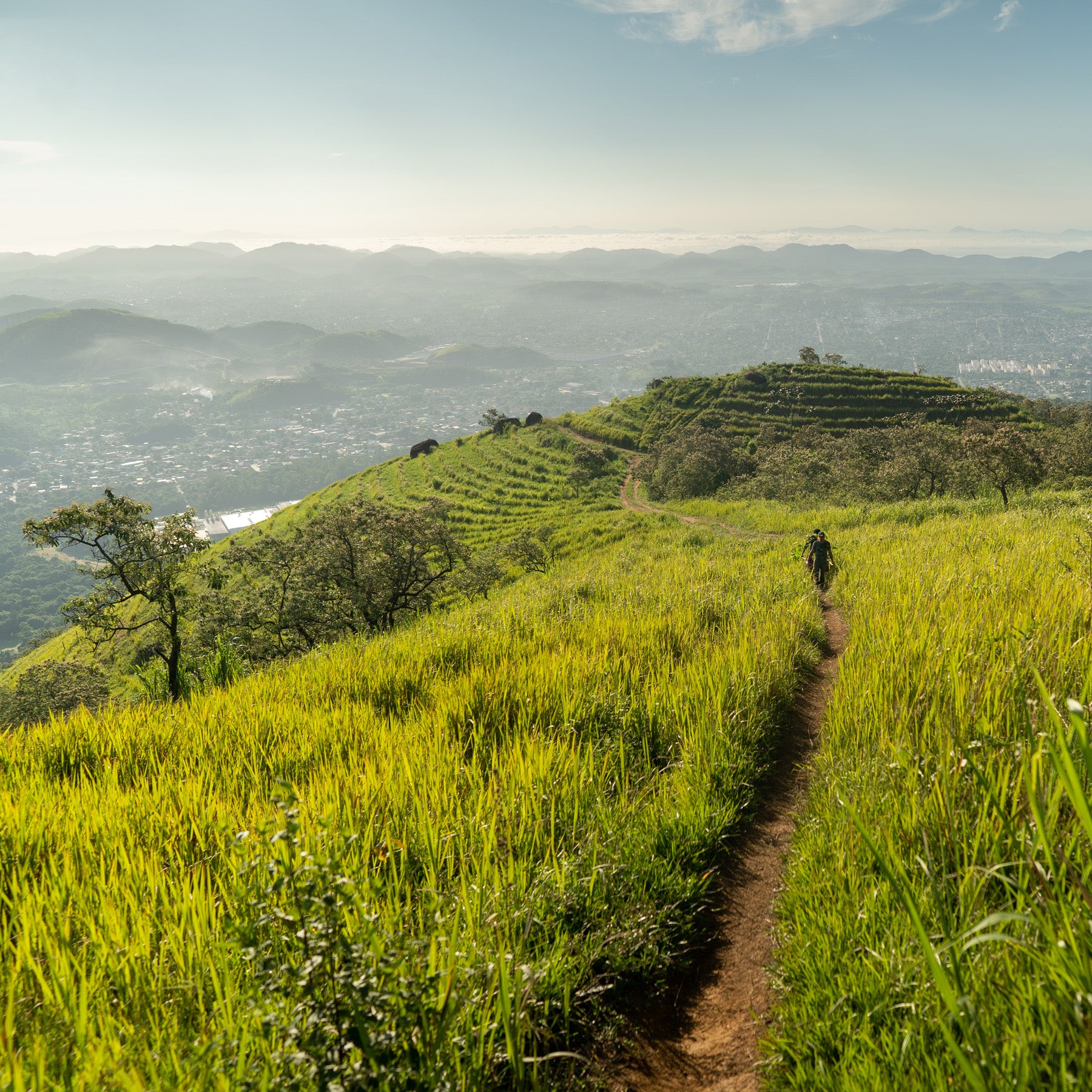 Planting a Brighter Future Together: